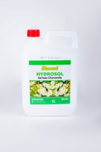 WhatsApp Image 2024-11-08 at 09.46.28